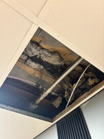 Mold in the ceiling