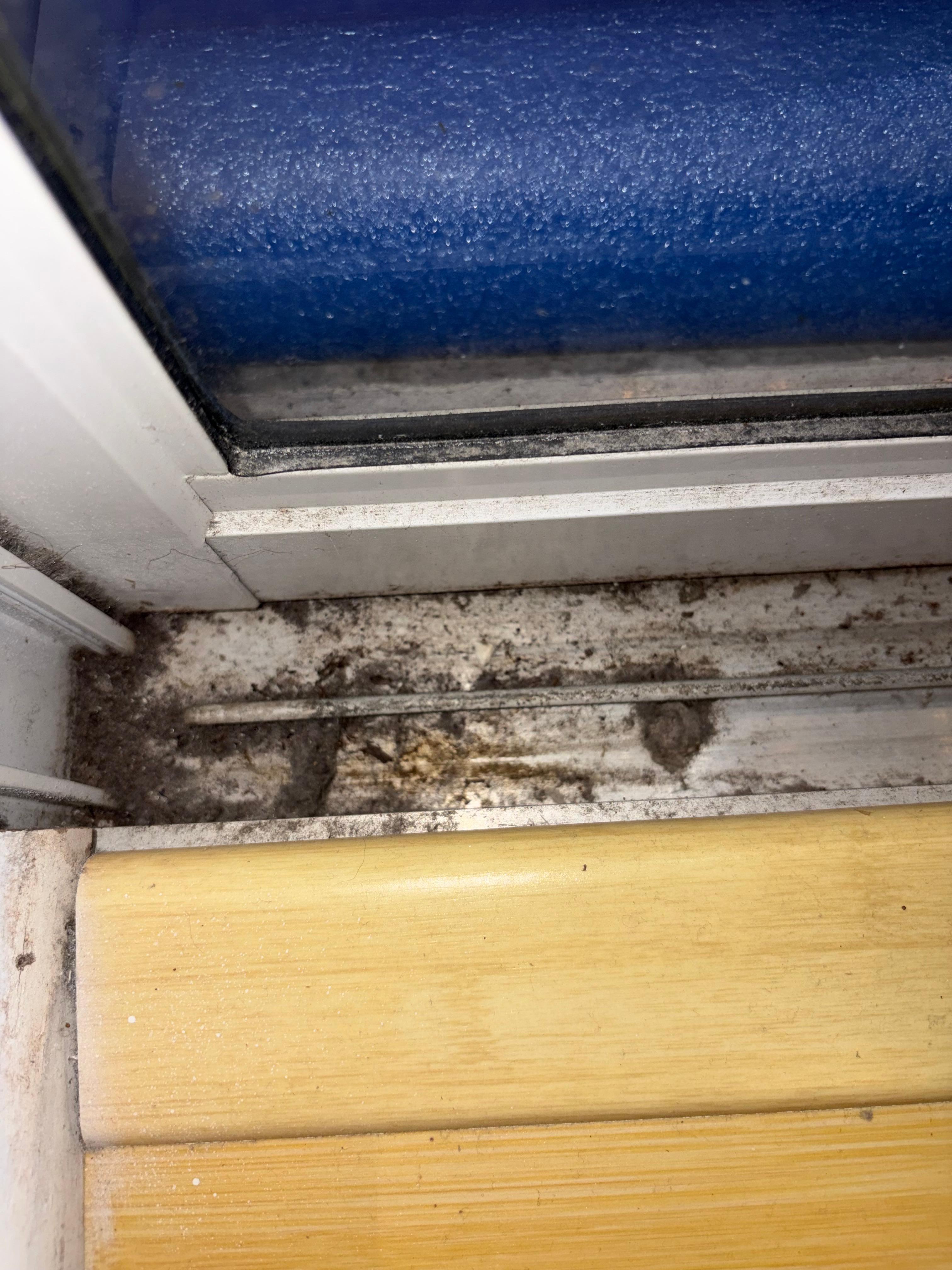 Moldy, dirty door track 