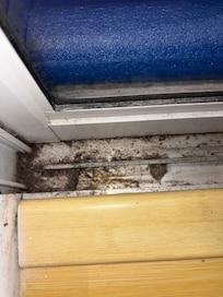 Moldy, dirty door track