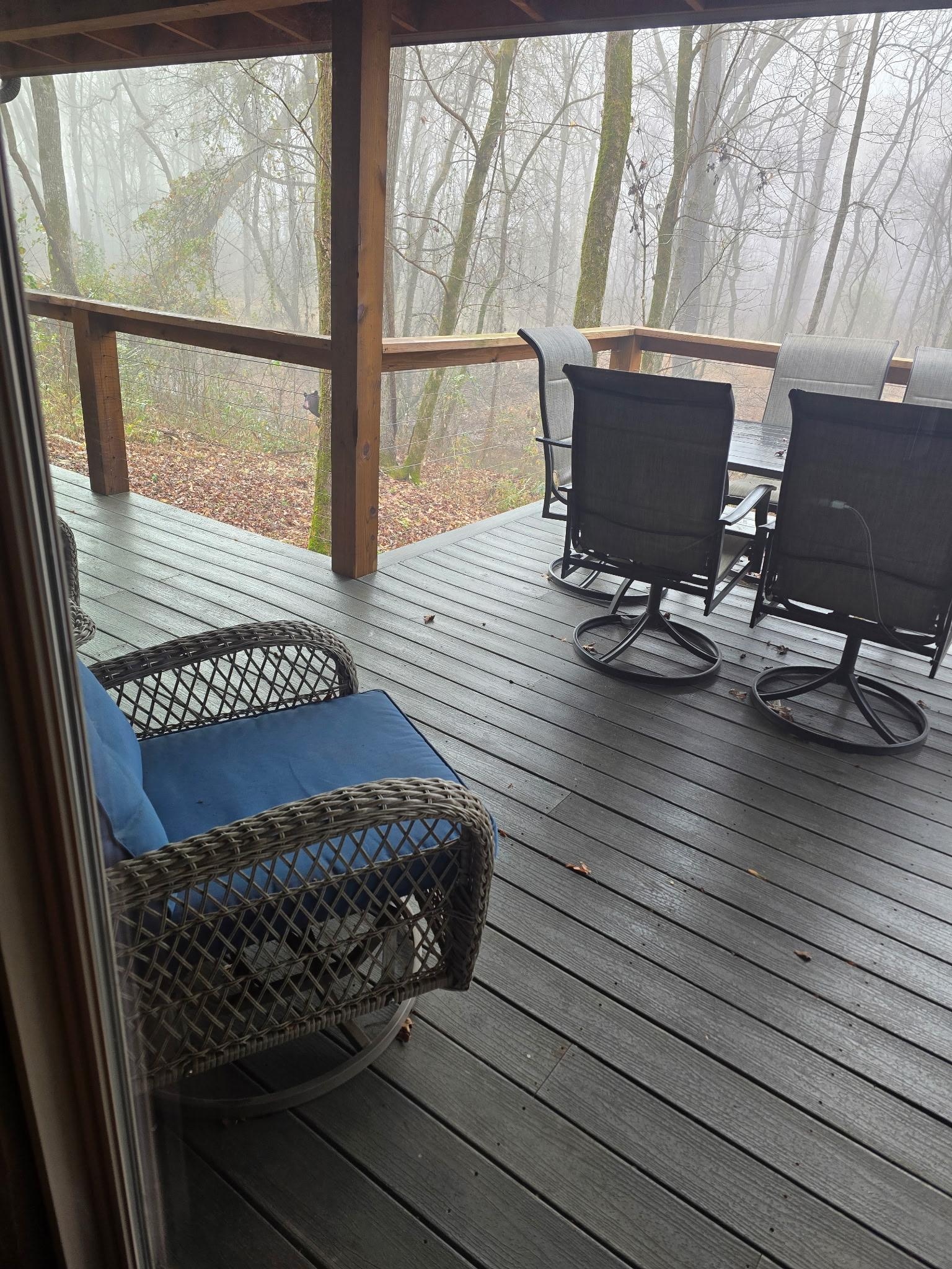 Relaxing view!!! Don’t let the bear scare you!!😂