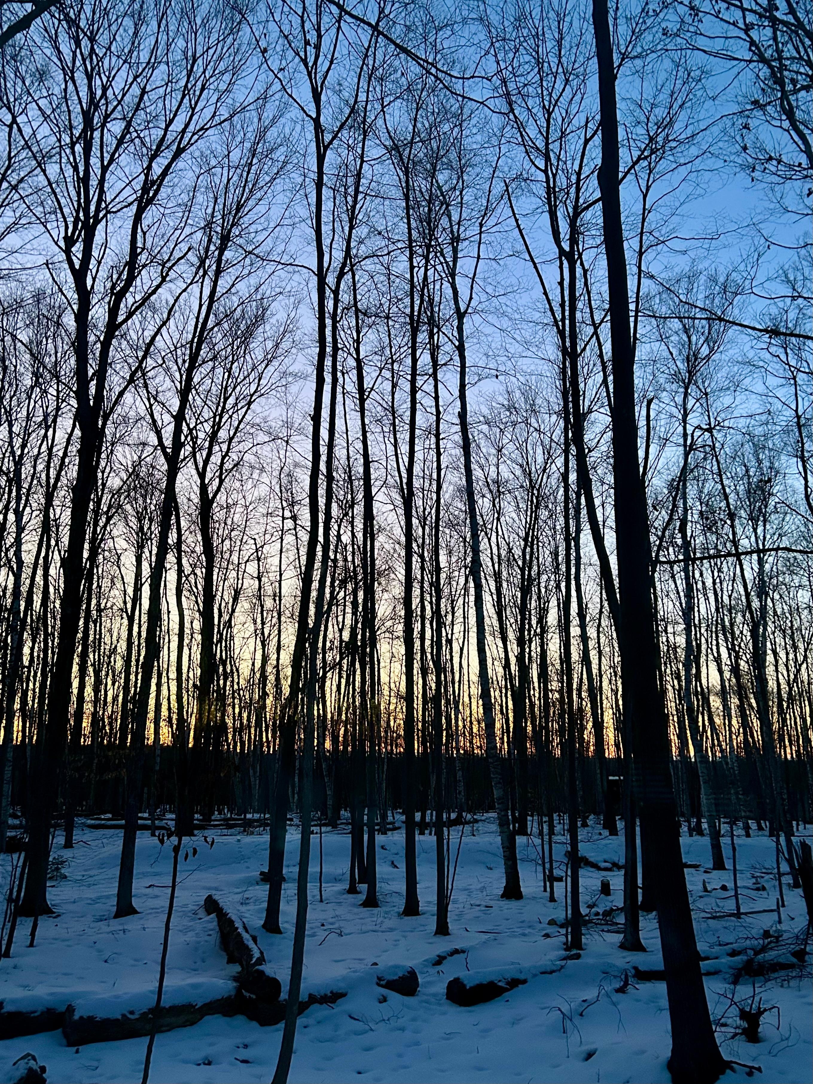 View from bedroom window.