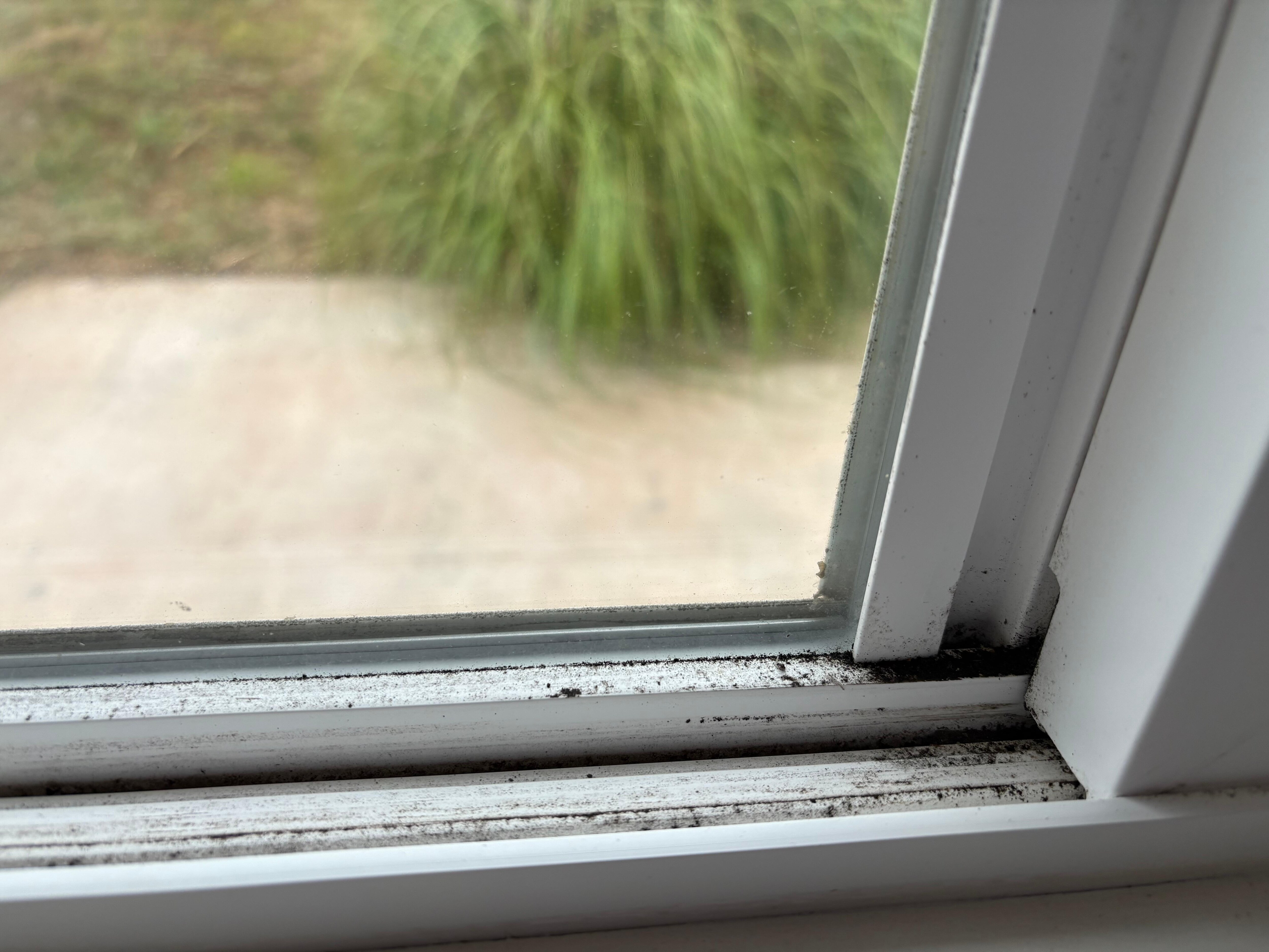 All window seals looked like this