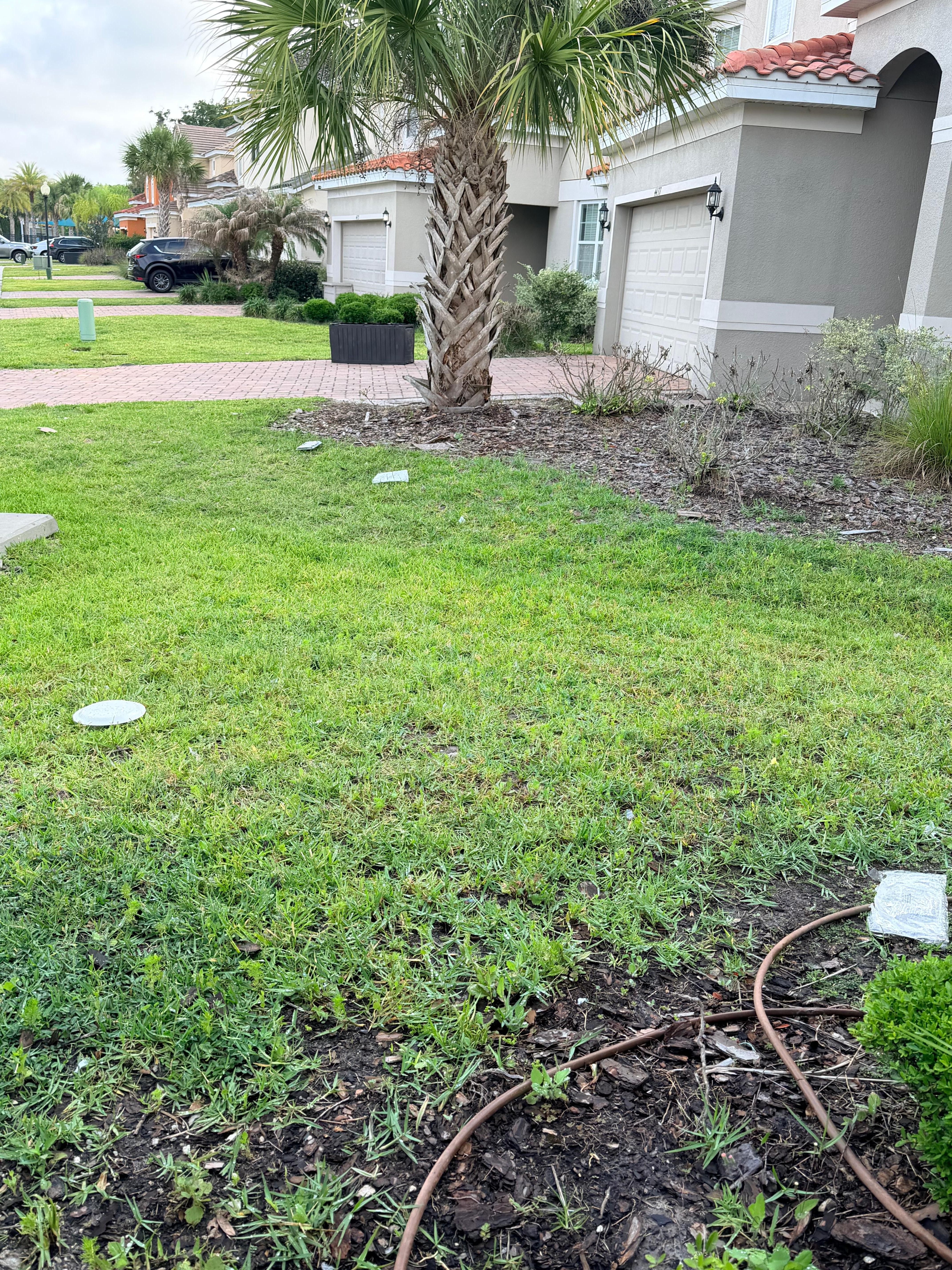 Trash still visible in the yard as we were leaving. 