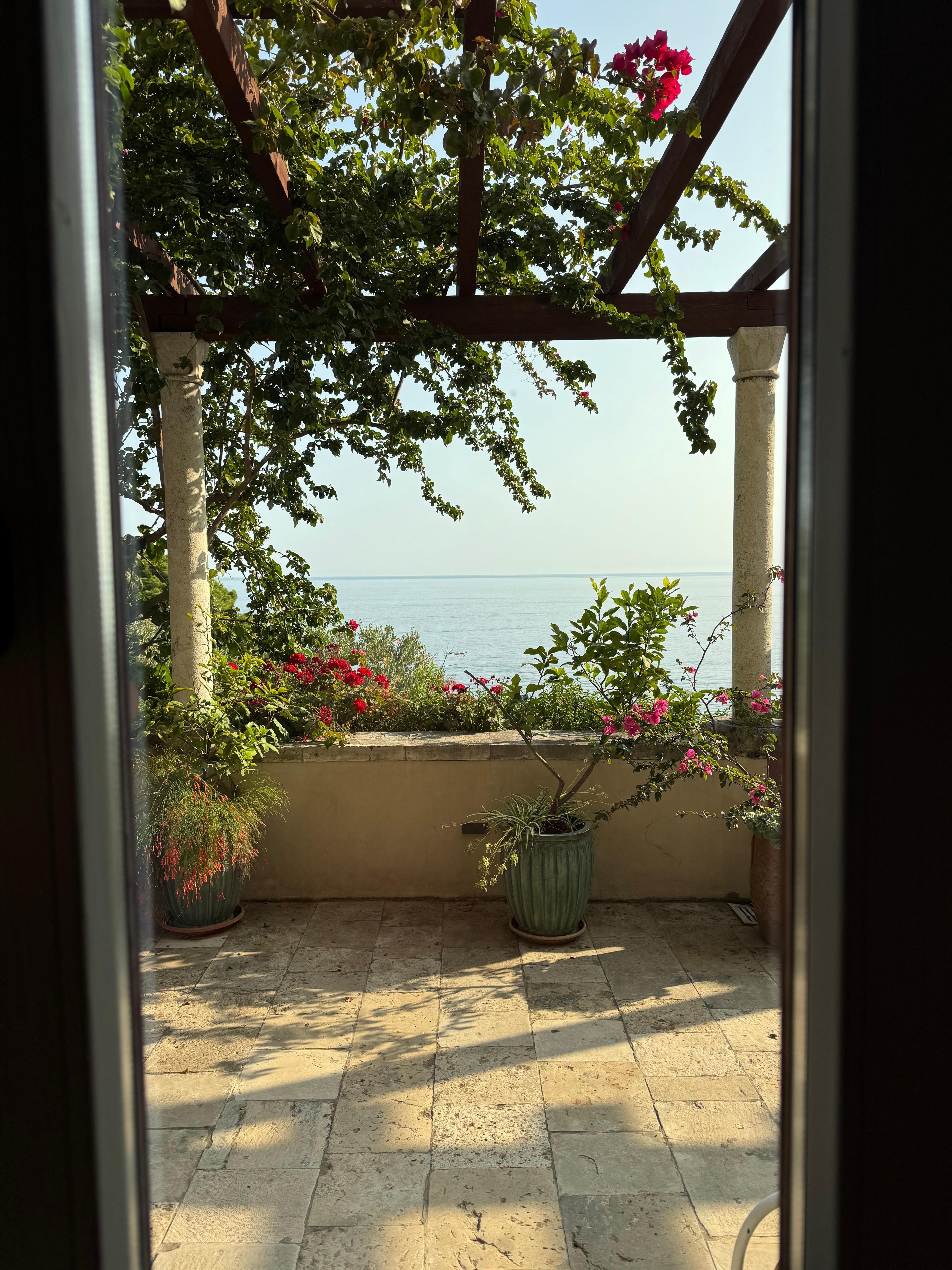 View from the patio