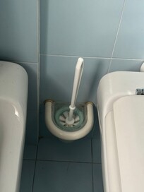 Old mouldy toilet brush