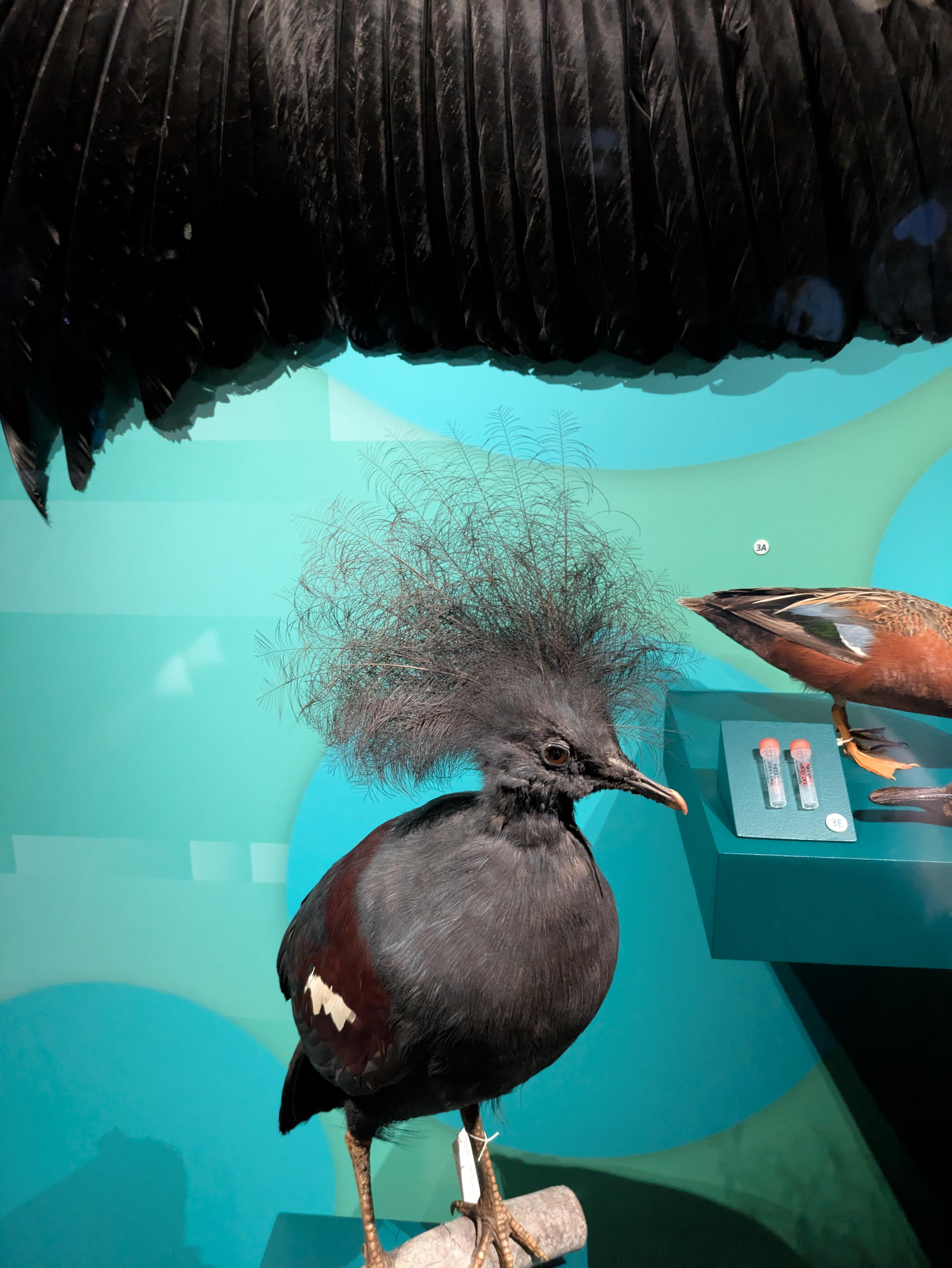 Monterey aquarium. Must see for aquarium fans!