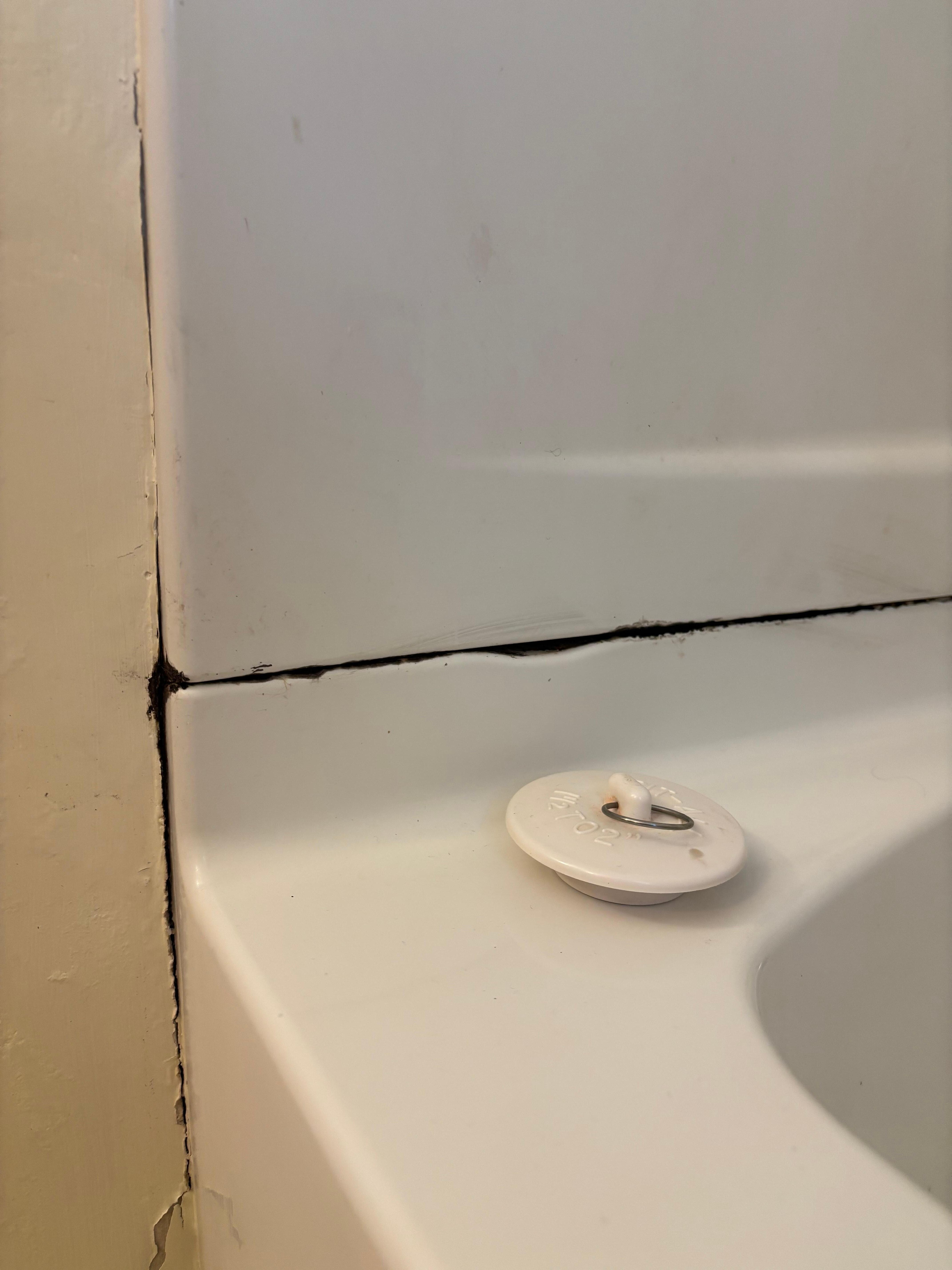 Mold in bathroom tub