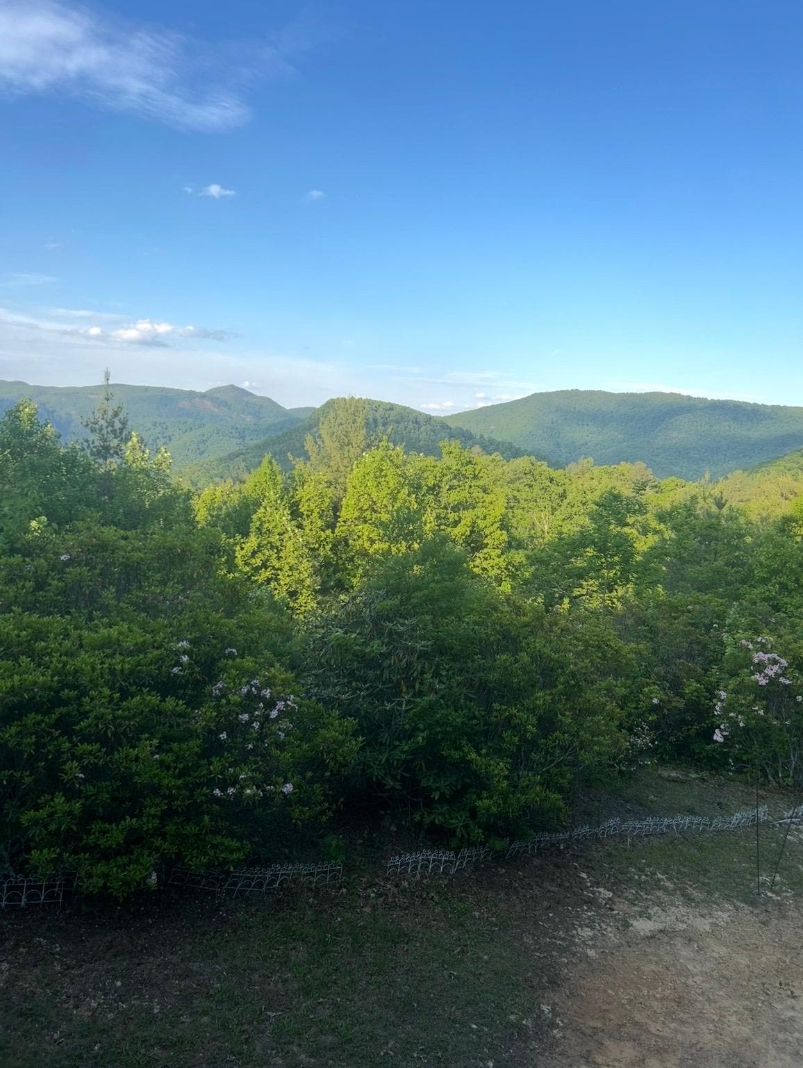 View from porch