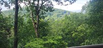 View from the back deck!