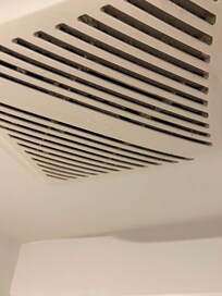 Tons of dust and dirt in the shower fan.