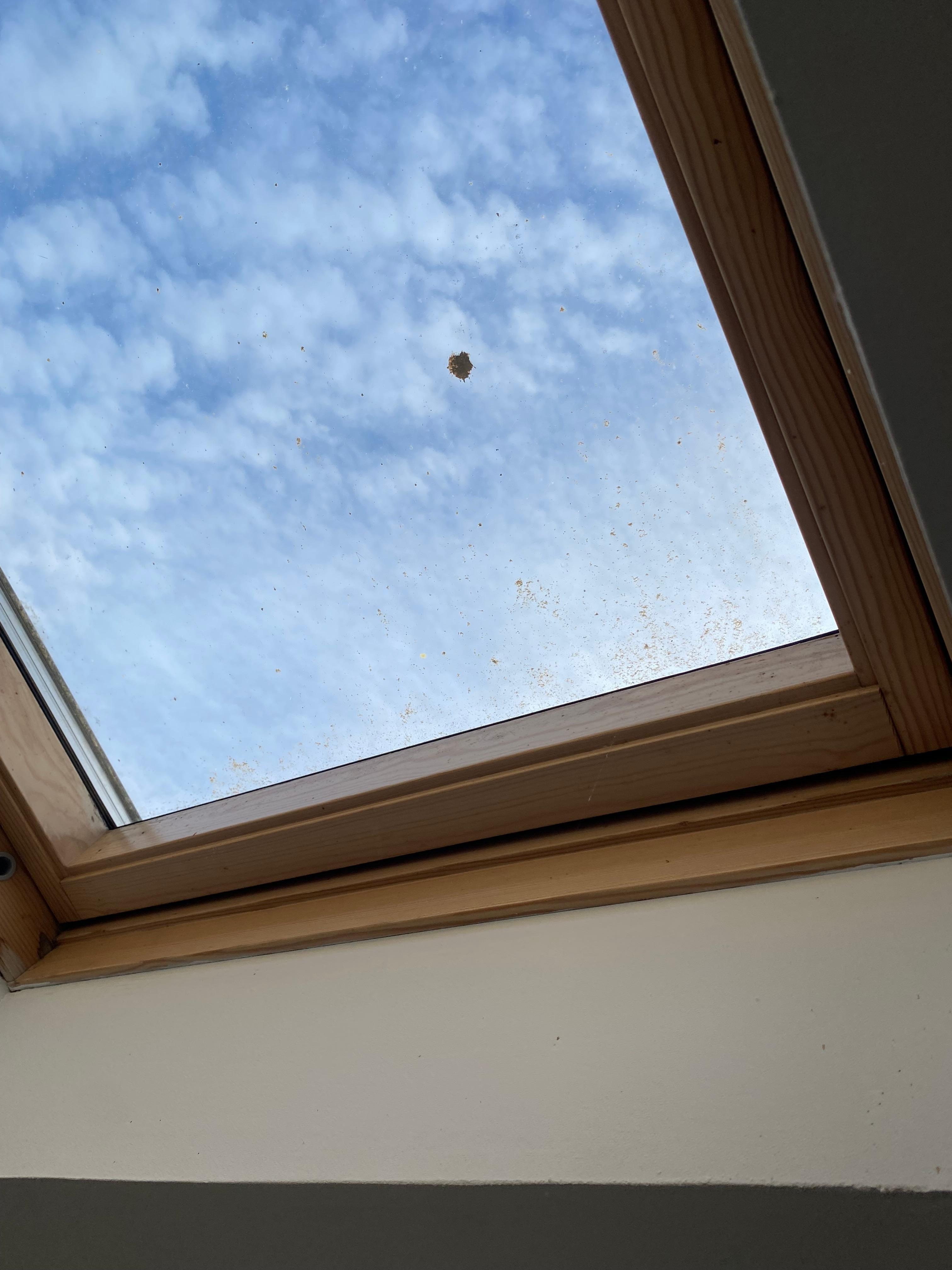 Vélux pas propre, pas très grave mais   Donne encore une impression de négligence.