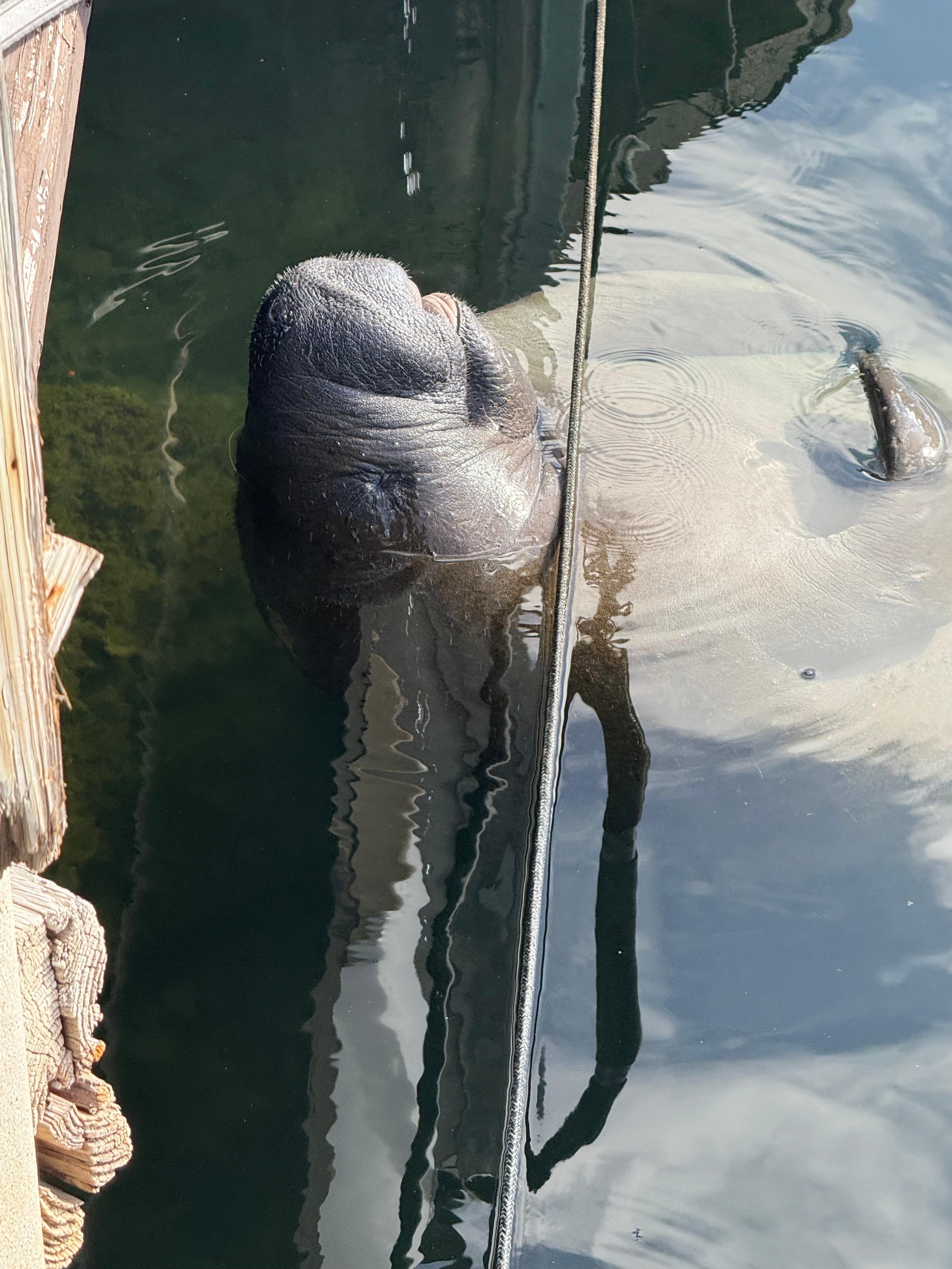 Taken right in front of the VRBO.