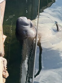 Taken right in front of the VRBO.