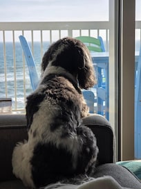 People watching was my favorite