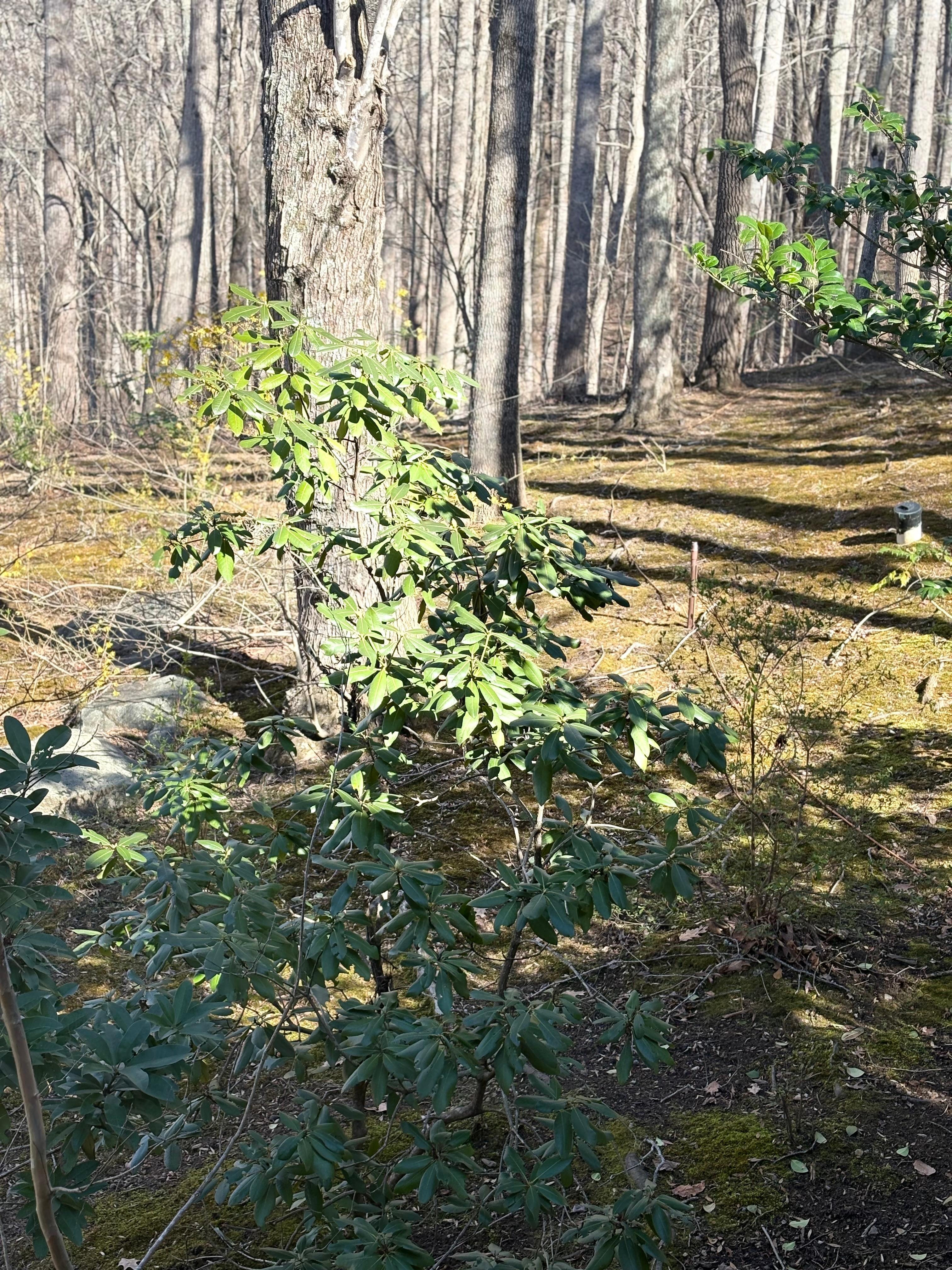 View from the balcony.