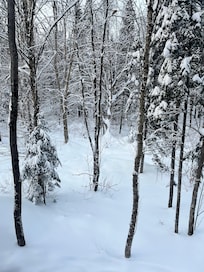 Views snowshoeing around the property