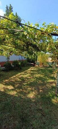 Garten mit tollen Pflanzen