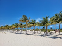 View of the walk out to the beach