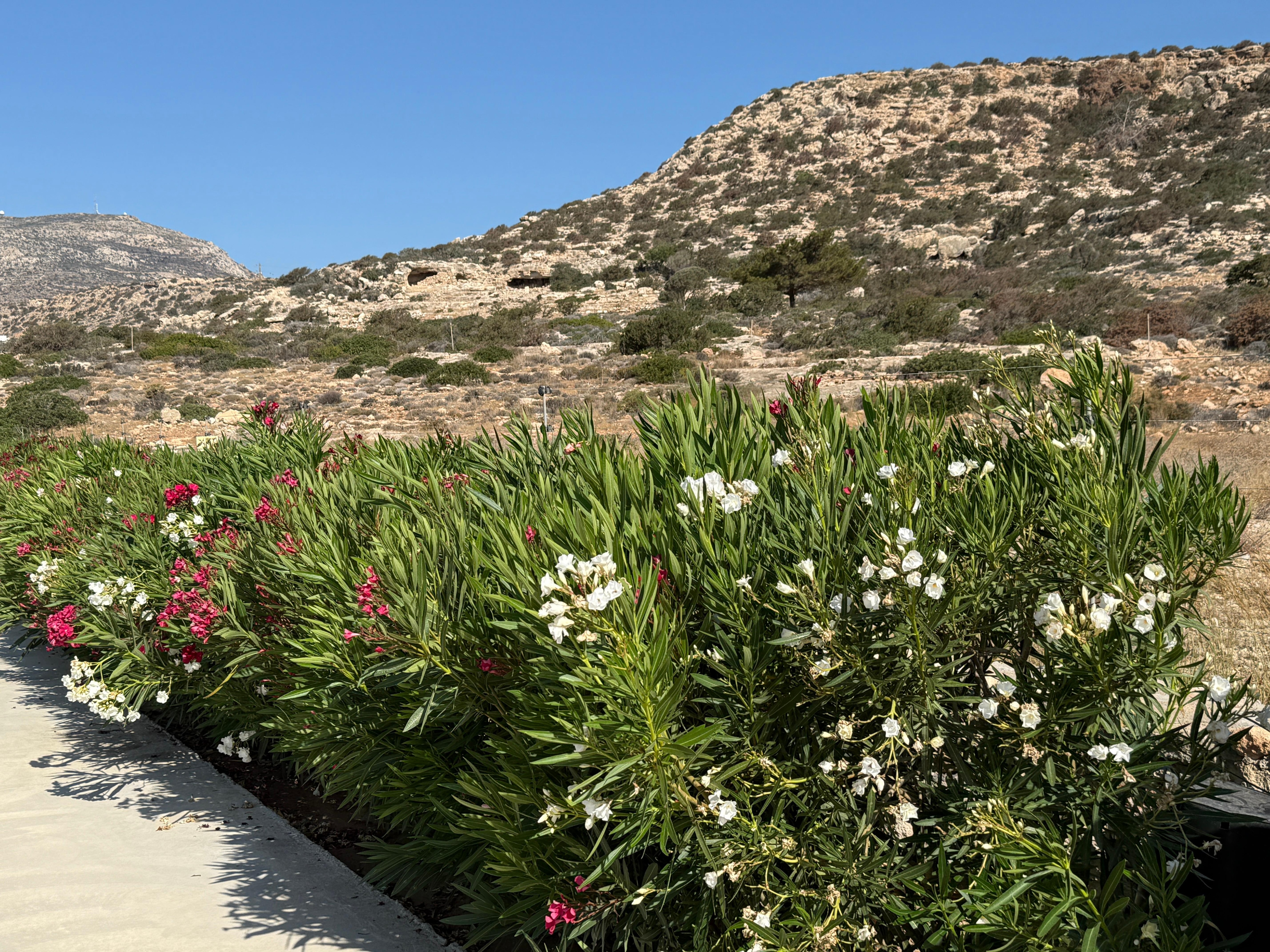 View from front of the villa