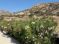 View from front of the villa