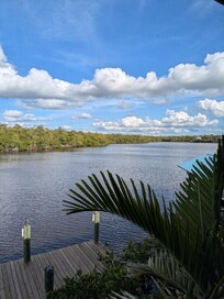 Afternoon view from back of house