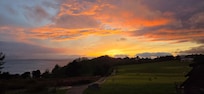 View from the home