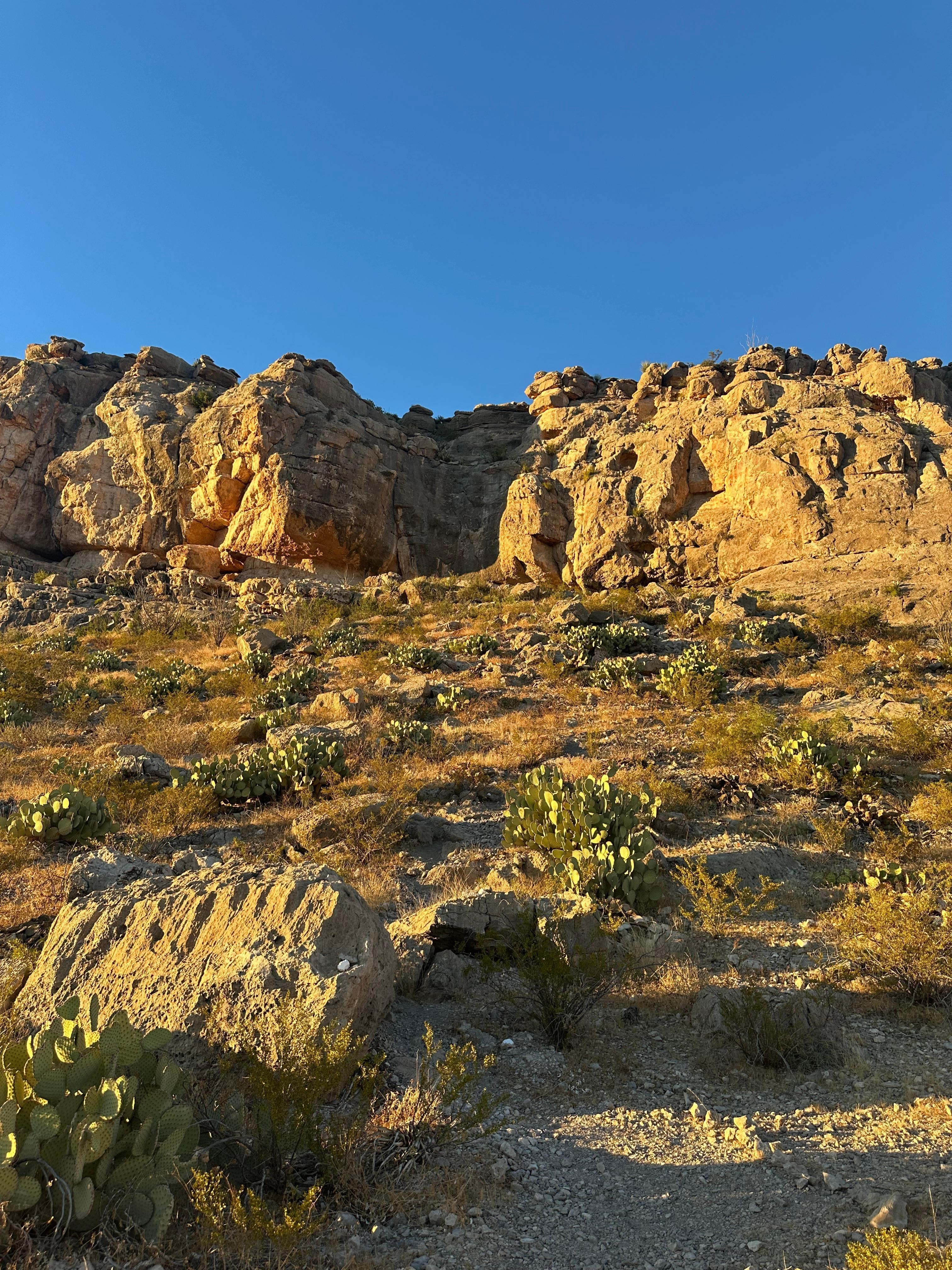 Sunsets and sunrises were my favorite. 