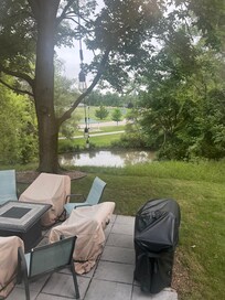 Outside backyard facing river