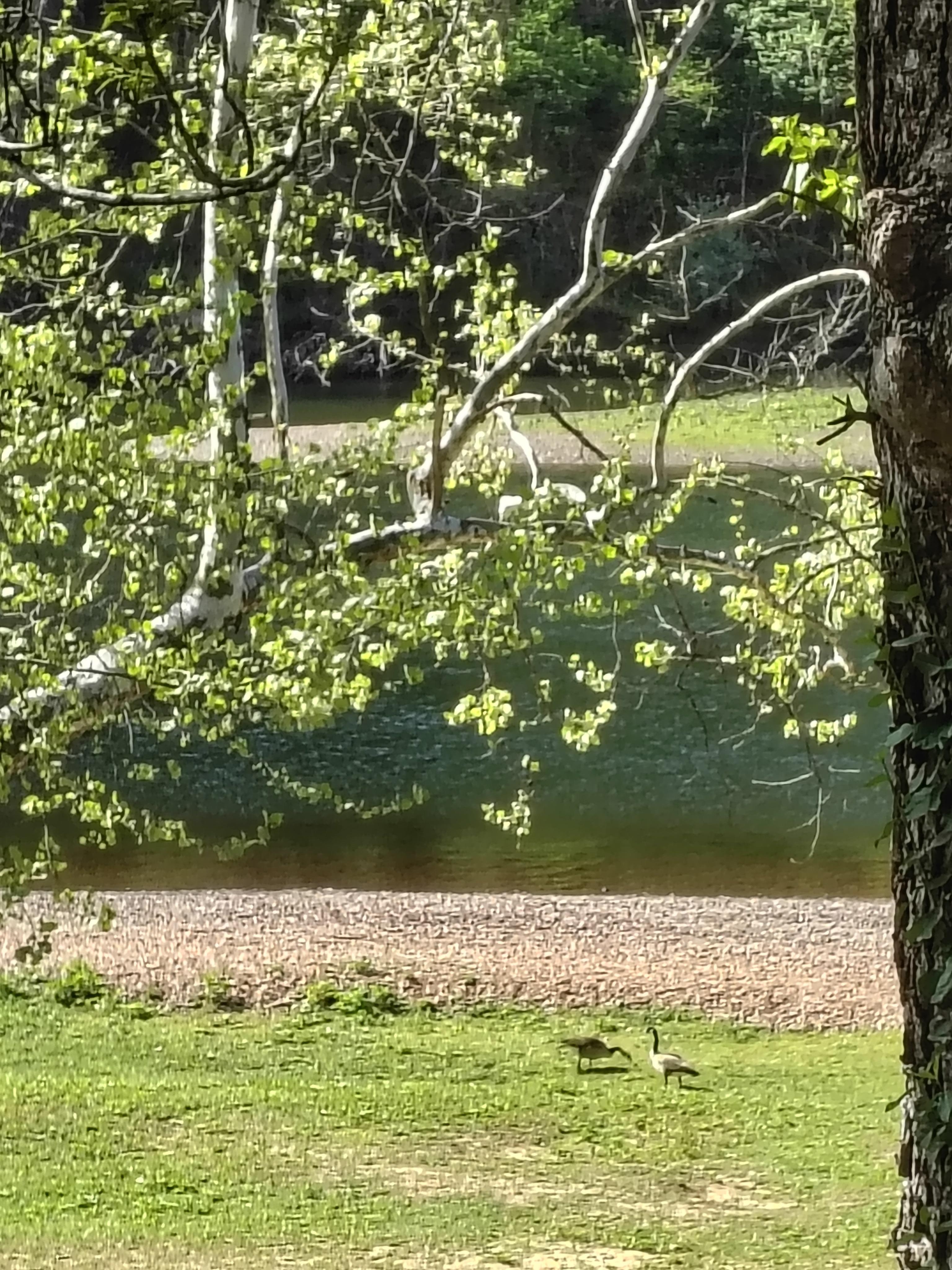 Lake view from the screened in porch 