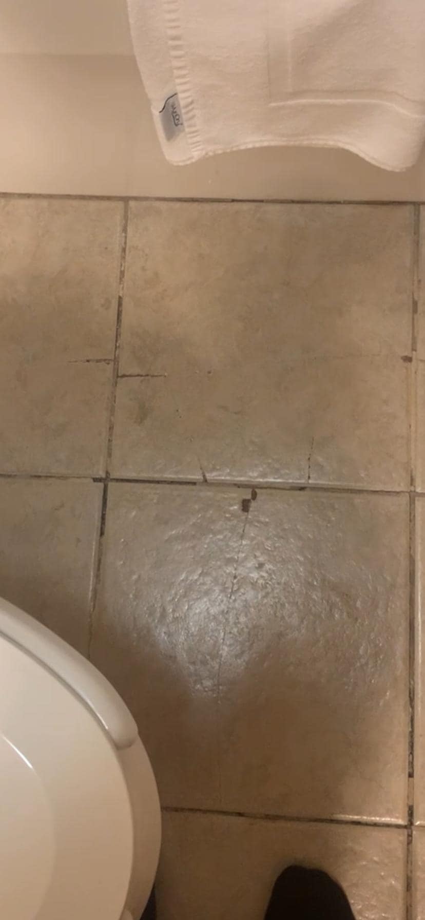 Bathroom floor tiles are cracked