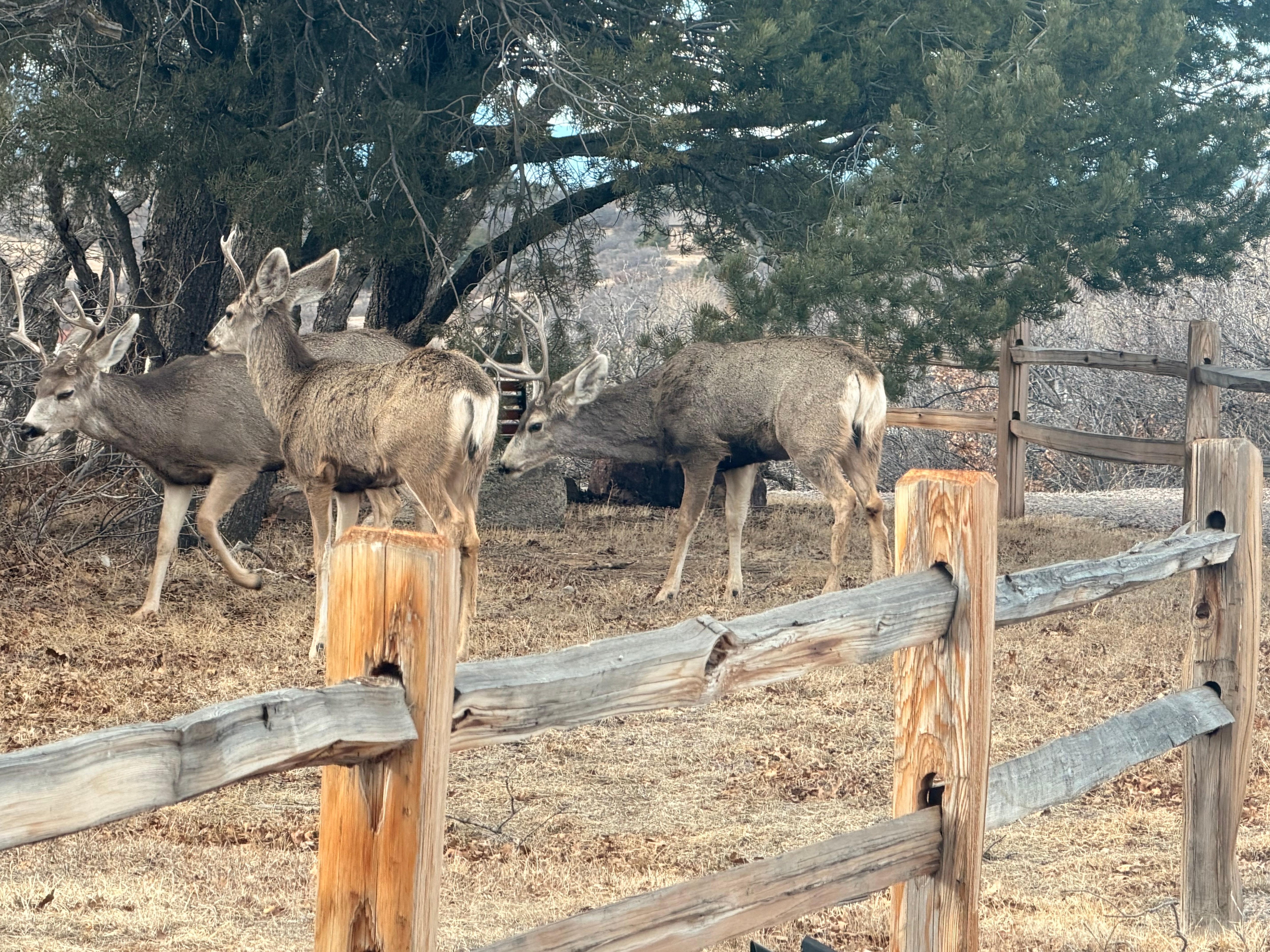 We hosted a neighborhood hangout