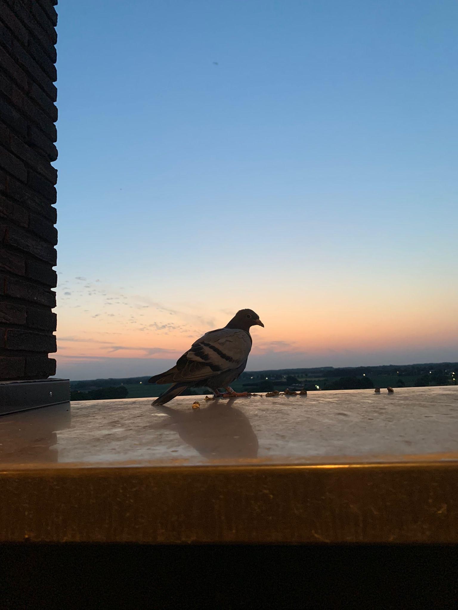 Fantastic roof terrace, watching the sunset on my last night.