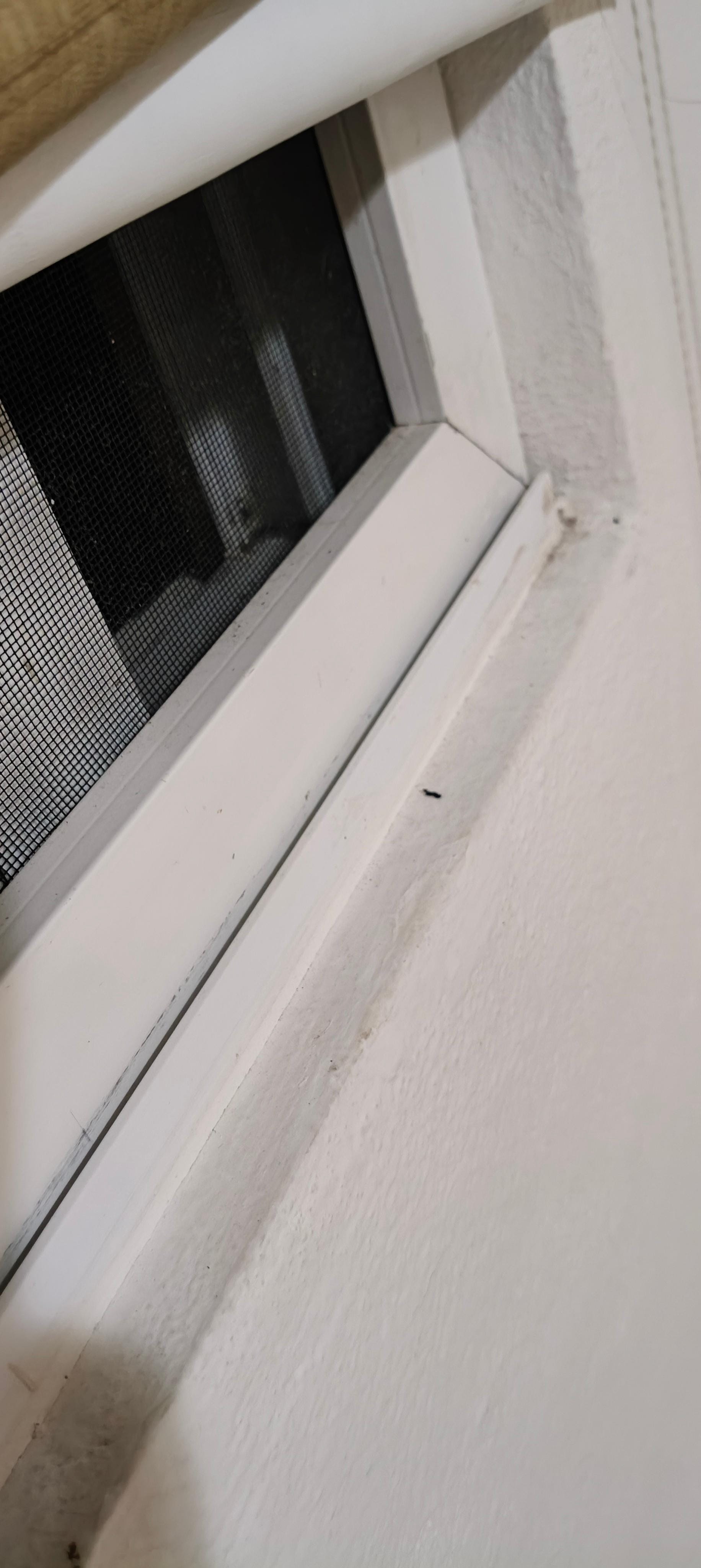 Sporcizia in ogni angolo 