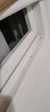 Sporcizia in ogni angolo