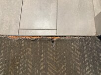 Carpet in room ripped and filthy.