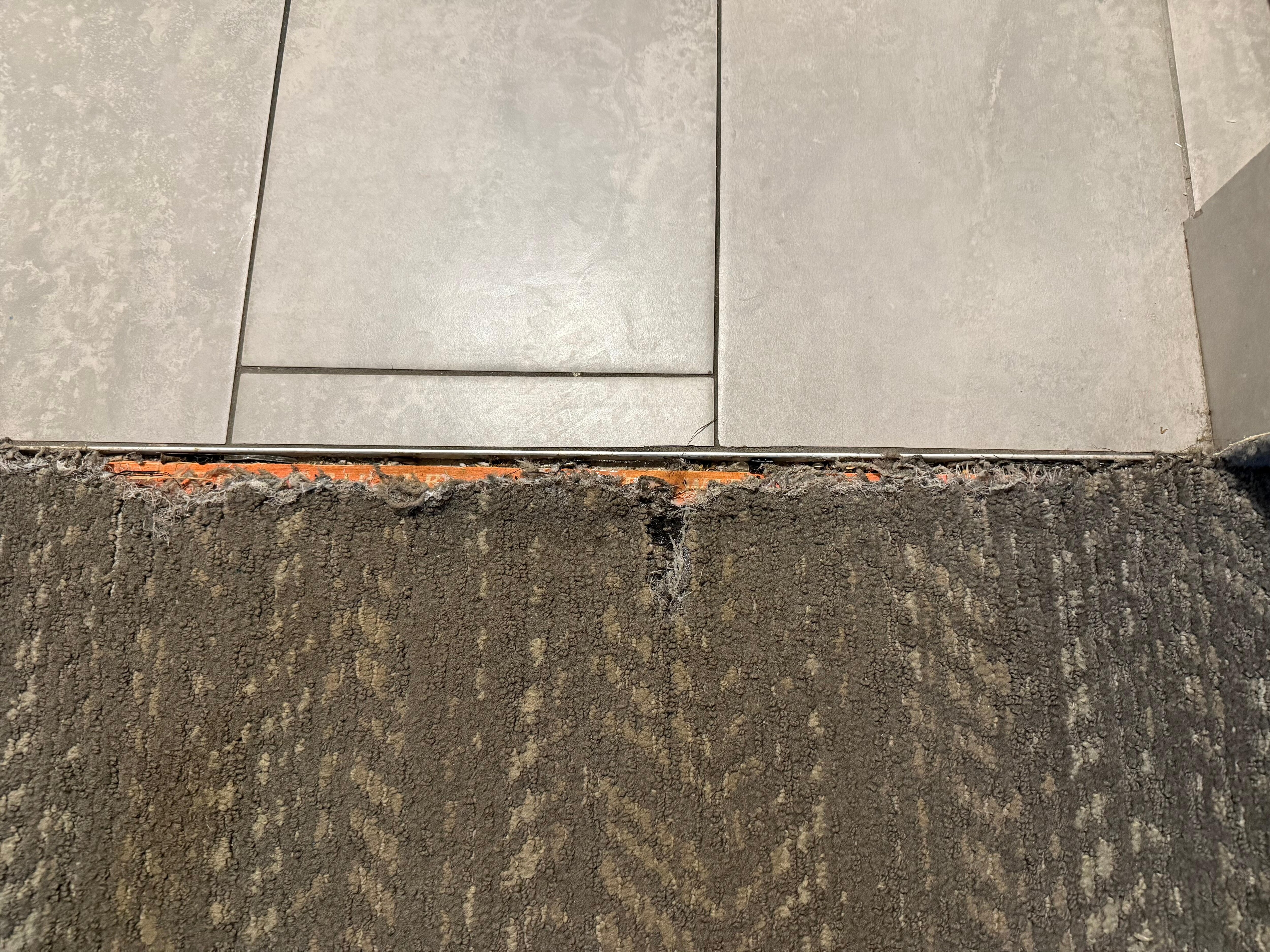 Carpet in room ripped and filthy.