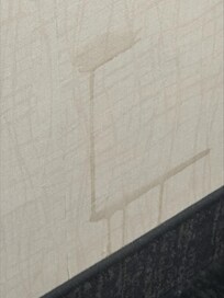 Don't have to go far to see this kind of delight