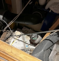 Pigeon in the cupboard.