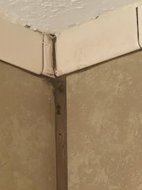 Shower mold
