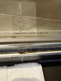 Mould in shower