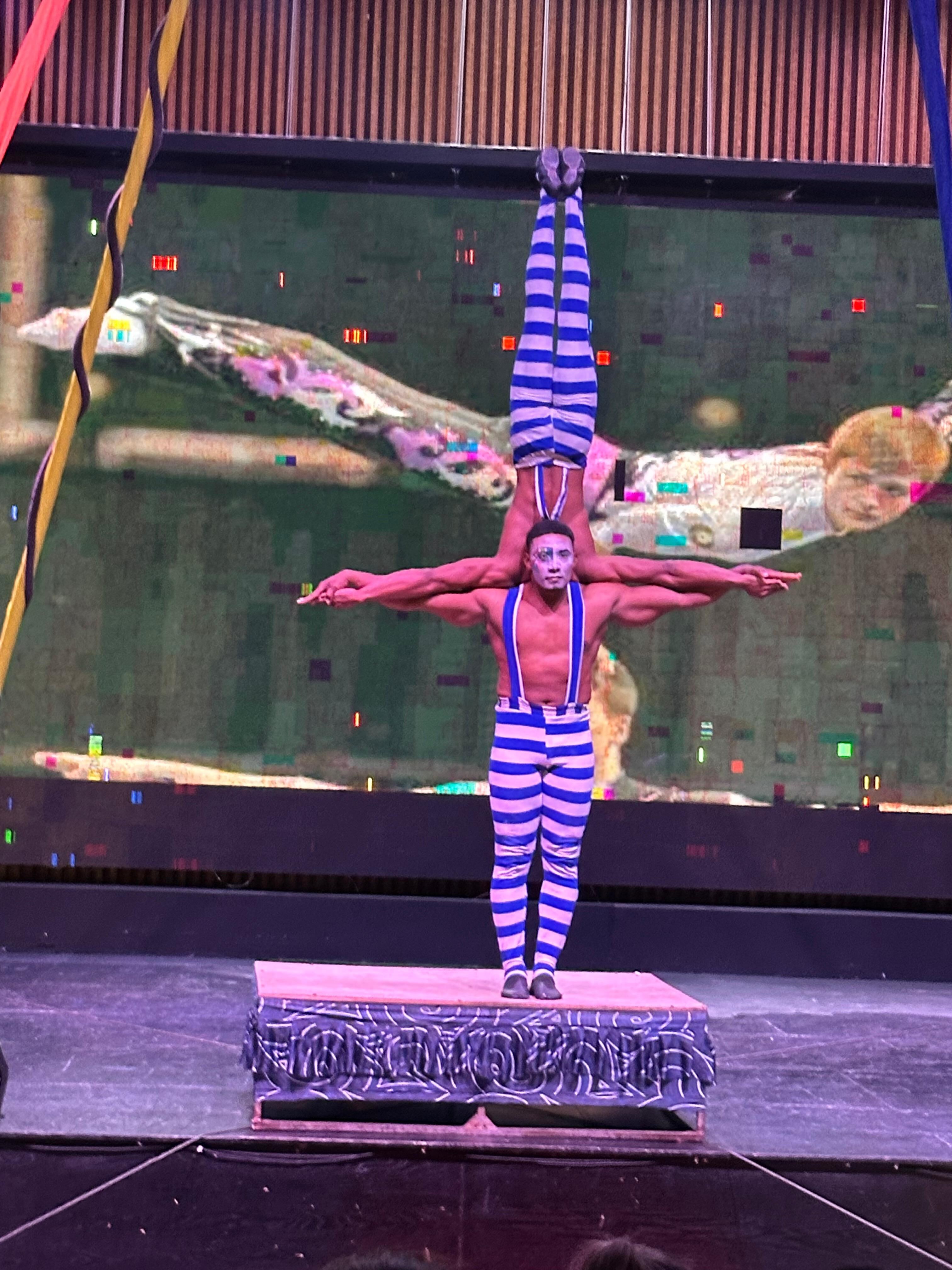 Circus of Soleilat the hotel 