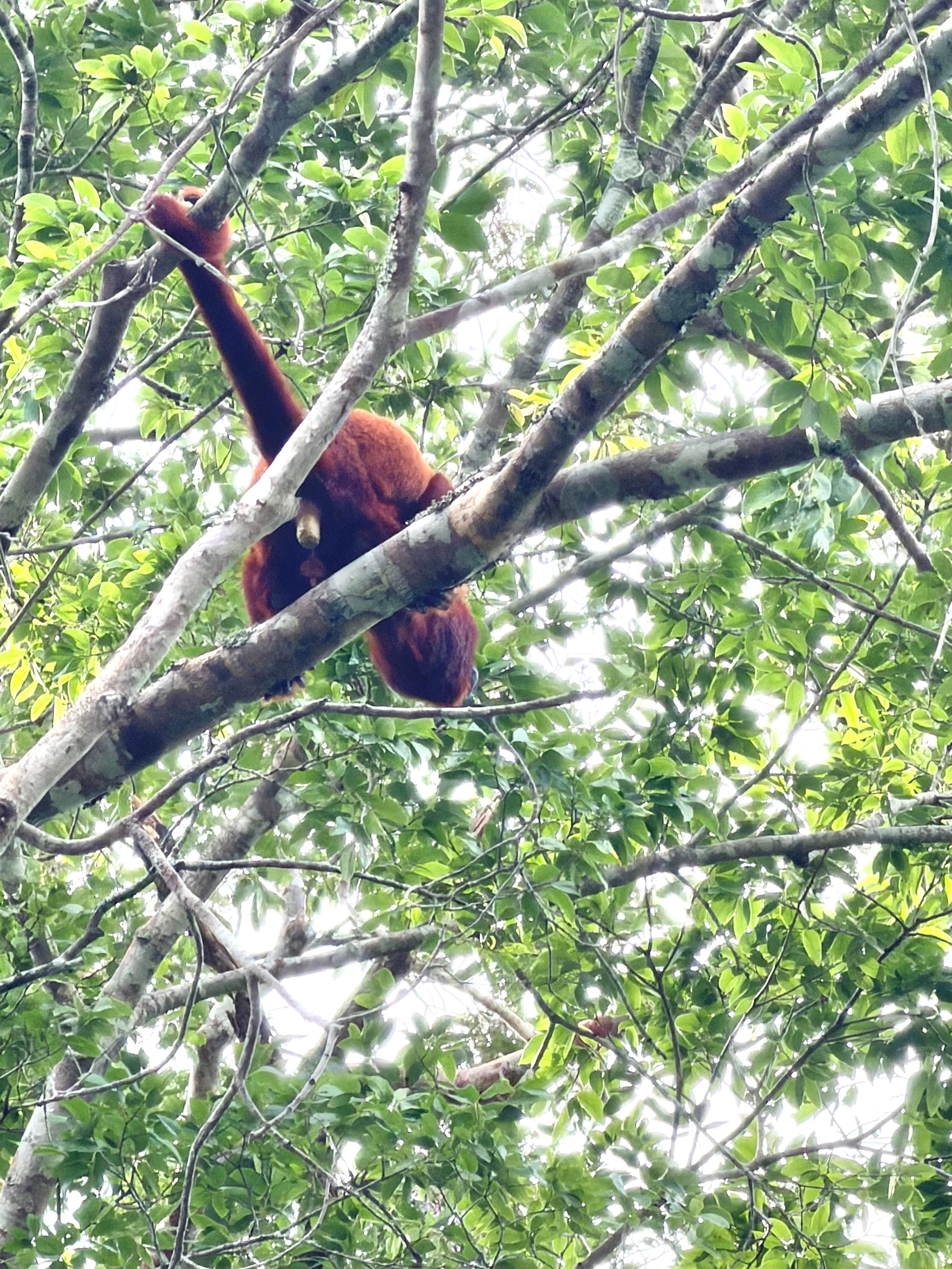 morning boat excursion