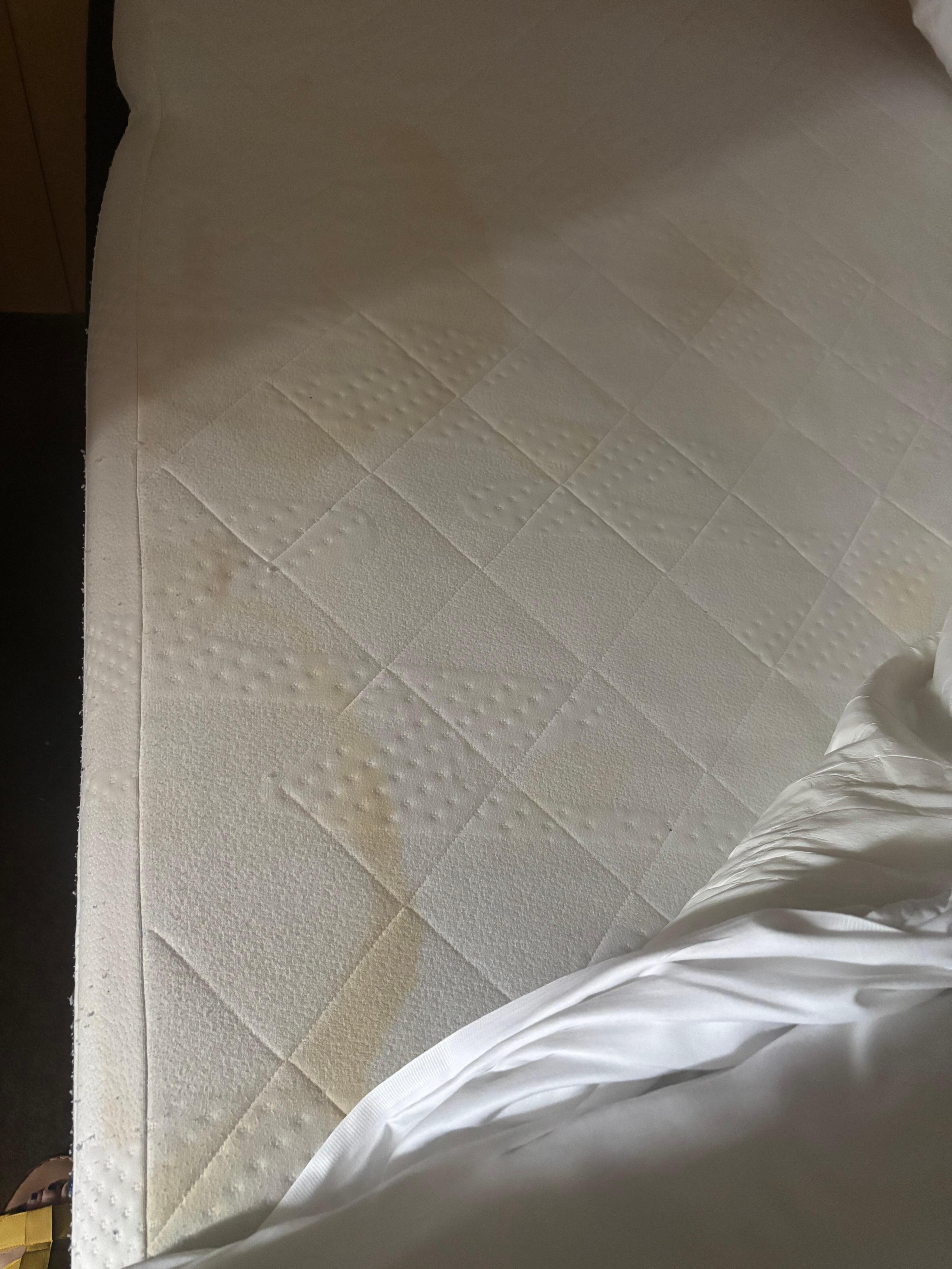 Yet another stain...