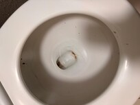 Nasty toilet full an bathroom was full of roaches I had to buy raid