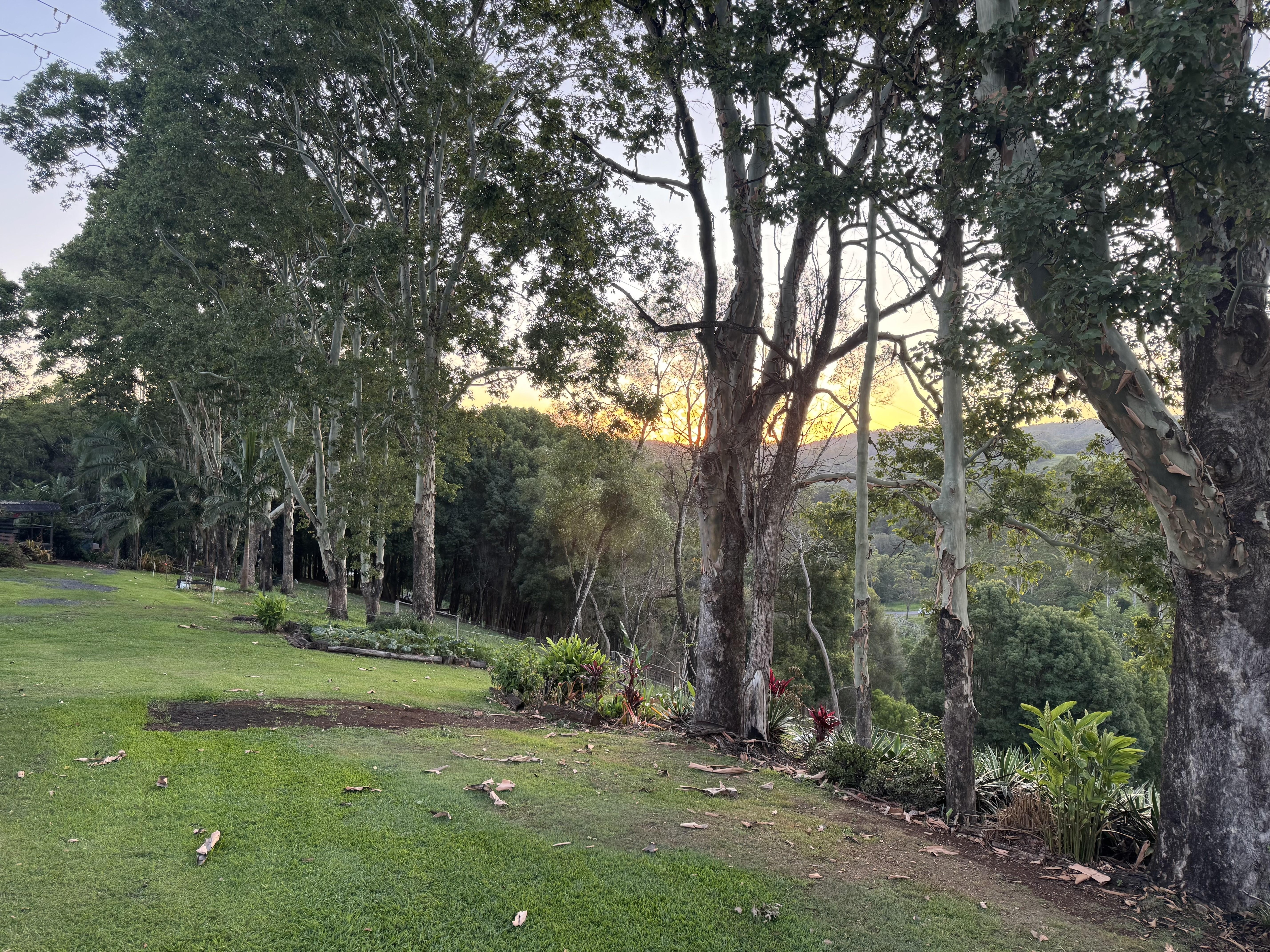 Sunset from the deck.