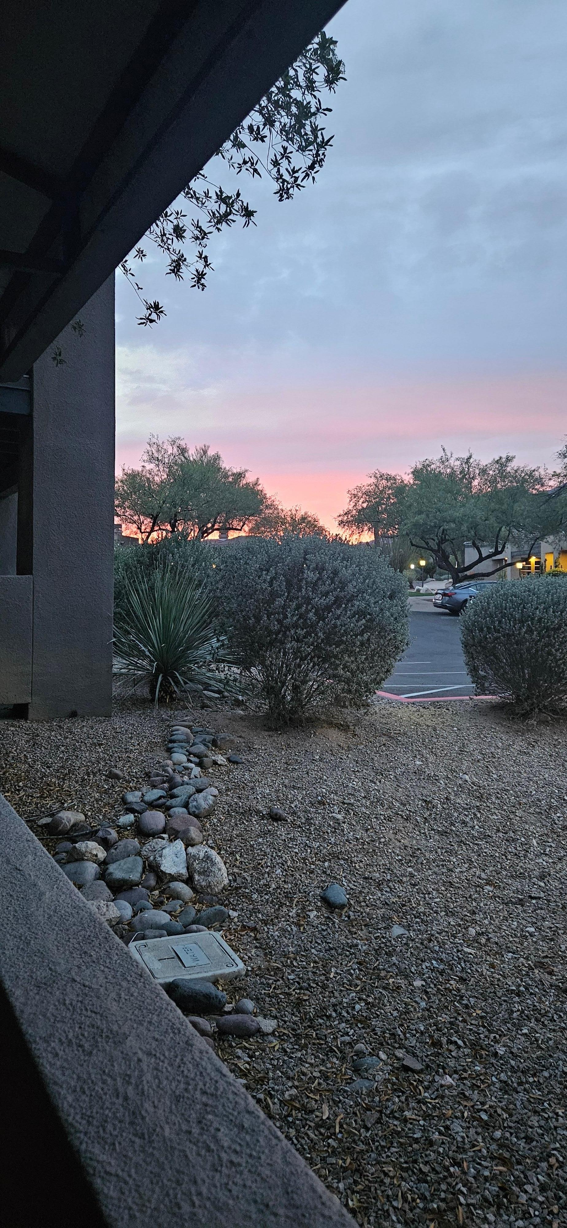 So peaceful on the patio