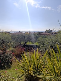 Aussicht 🤩
