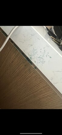 This was in April and the floor had hair. I didn’t take a picture of the hair that was on the floor over the weekend. Absolutely disgusting