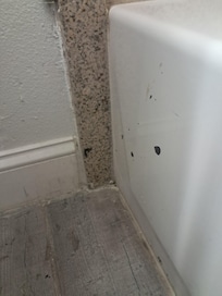 Poop on tub