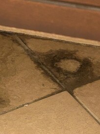 This was under the stink.